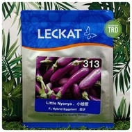 Paket 10g (2000 Biji) LITTLE NYONYA 313 Cap Leckat Seed Biji Benih Terung Mini F1 Hybrid Mini Purple Eggplant Seeds