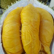 2x 400g Mao Shan Wang Musang King BG Freshly Dehusked  Premium Quality Pahang Durian