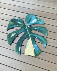 BLR 觀葉植物 造型萬用墊A1 龜背芋 比斯麥 泰斑龜 傑克林