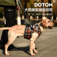 Pet Leg harness walking support Pet Leg harness walking support Handicapped Leg brace Pet Leg harnes