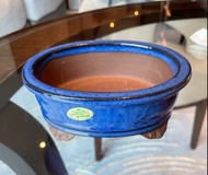 全新 韓國製 盆景 盆鉢 橢圓鉢 花盆 Tongrae Pot Bonsai pot