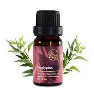 Amour 精油 - Eucalyptus Essential Oil - 尤加利 10ml - 100% Pure