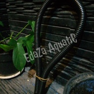 Selang biru / hitam spiral 60cm aquarium aquascape