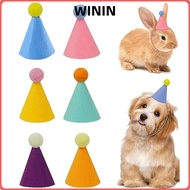 WININ Mini Party Hats, 6pcs Set Lightweight Cone Hats, Cute Colorful Party Hats Birthday