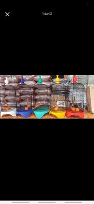 sangkar burung besi bulat perkutut derkuku love brid kenari dll