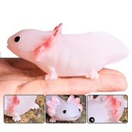 Amphibian Axolotl Salamander Simulation Model Children Science Educational Cognition Natural Decorat