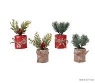 荷蘭 Kaemingk 盆栽聖誕樹/ 聖誕紅與麻布棕/ 17公分高/ 隨機出貨