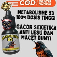 METABOLISME 53 vitamin burung metabolisme burung vitamin metabolisme burung