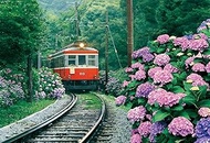 300 Piece Jigsaw Puzzle Mezase! Puzzle Master Series Kaoru Ajisai Hakone Climbing Train (10.2 x 15.0