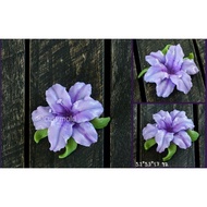 Flower Y85 silicone mold