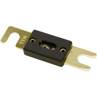 ANL Fuse Fork 100 Amp for Car