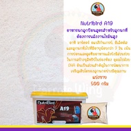 Woww สุดคุ้ม Nutribird A19 อาหารลูกป้อนสำหรับลูกนกที่ต้องการพลังงานสูงไขมันสูง (Repack. 500g.) ราคาโปร อาหาร นก อาหารนกหัวจุก อาหารนกแก้ว อาหารหงส์หยก