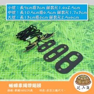 蜥蜴牽繩帶翅膀 | 爬蟲 蜥蜴 鬆獅蜥 鬣蜥 水龍 草原 泰加巨蜥