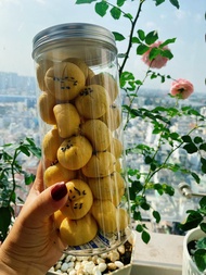 Bánh dứa Đài Loan mini núng nính mooncake handmade nhân dứa dẻo sánh siêu ngon