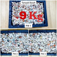 PANCAWARNA CORAL DECORATIVE STONE 9 KG 1 SACK (MULTICOLOUR) SUITABLE FOR GARDENS
