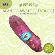 [TheSillyGreens] G1 Japanese Sweet Potato | 5kg (Cartoon)