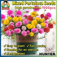 Potensi Tumbuh 95%- (isi-100) Butir benih biji krokot tumpuk mix campur warna warni sutra Bombay dau