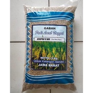 Termurah Benih Bibit Padi Ciputri / Ciherang Malay Panjang Kemasan 5Kg