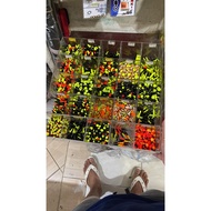 Custom product f********4 display box made in 5 x 5 rooms, size per room 6.5 x 6.5 cm, height 10 cm