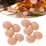 【FSFO】10 Faux Fake Chicken Eggs Get hens to Eggs Poultry Mannequin Nest Eggs