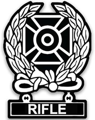 US Army Expert Award Shape with Rifle Sticker (m16 Shooting Marksman Marksmanship Medal Decal for ca