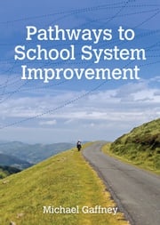 Pathways to School System Improvement Michael Gaffney