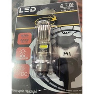 AC/DC White LED Headlight Bulb
