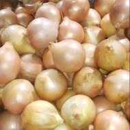 Bawang Bombay 1kg/Bawang Bombay murah kualitas bagus