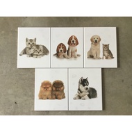 sosuco Ceramic Tiles For Dogs And Cats Size 8 10 X 10