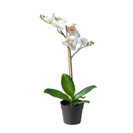 🌷 IKEA FEJKA Artificial Flowers (Bunga Tiruan) - ORCHID WHITE & LILAC