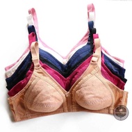 Sunny Cup B Non Wire No Padding Foam Bra Size: 36-44 Nb03 Cotton Womenswear