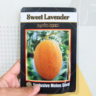 BENIH F1 Melon SWEET LAVENDER ISI 10 Gram ORI Melon Ekslusif Bibit Melon Sweet Net Melon Daging Oran
