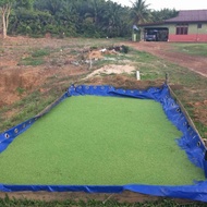 AZOLLA MICROPHYLLA DIJAMIN SAMPAI FRESH StarterPack