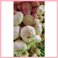 ▫ ♟ 1kg Medium Native Ilocos Bawang (Bundled per kilo)