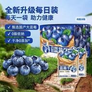 三只松鼠每日藍莓幹內含獨立小包盒裝健康每日堅果幹蜜餞果脯烘焙16g*16包