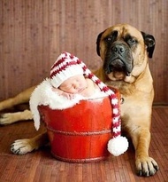 [Z333] Children's Photography Clothing Baby Art Photo Hat Hand-Knitted Wool Long Ball Infant