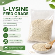 L-ysine Lysine Powder 98.5% 赖氨酸粉 - Supplement Ingredient