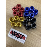 Litepro Chainring Alloy Bolts (5 PCS)