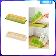 [Etekaxa] Box Seed Sprout Tray Wheatgrass Grower Cat Snack Tray Sprout Tray for Planting