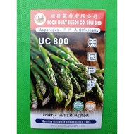 Soon Huat Asparagus Seeds UC800 Mary Washington Benih Asparagus