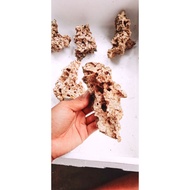 Coral Stone for Mame Bonsai/ Aquarium Decoration Aquarium Stone