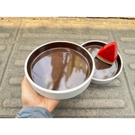 Two-Tone High Edge Lift Plate 6 Inches ️ Stoneware Plate Ceramic Plate