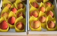 【桃香預購！香甜多汁的黃金水蜜桃 8顆禮盒 x2盒】市場少見 農藥殘留0檢出給你好安心