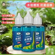 植物营养液通用型家用盆栽养花绿萝富贵竹发财树多肉花肥水培花卉Plant Nutrient Solution Universal Household Potted Plant Flower Greens