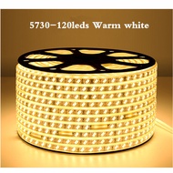 บ้าน Taste IP67กันน้ำ220V แถบไฟ LED SMD 5730 120LEDs/M Super Bright ไฟสำหรับในร่มโคมไฟกลางแจ้งหลอดไฟ