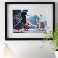 *ORIGINAL* I KEA FRAME RIBBA  30x40cm 相框 宜家