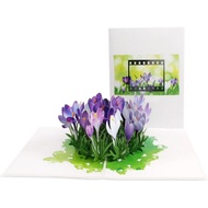 3D Saffron Card – Premium Handmade Pop Up Card F37