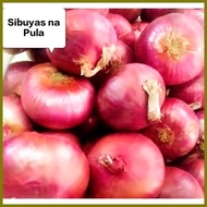 ✥ ﹊ ╱ RED ONION/Sibuyas na Pula/Pulang Sibuyas250 grams,500grams,1 kilo Fresh Gulay (SHIP OUT AGAD)
