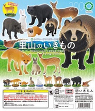 現貨  日本正版 奇譚 IKIMON 日本里山的動物 浣熊兔子狐貍轉蛋  露天市集  全台最大的網路購物市集