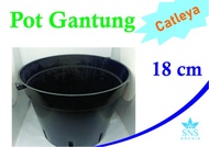 Pot Gantung 18 cm Bunga Anggrek Catleya Bulan Dendro Vanda Cattleya